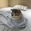 hannahchan_04