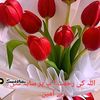 nehalahmad4839