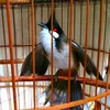 user8101008300785