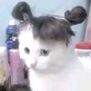 dinaaww ᯓ ᡣ𐭩