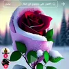 user6178739402532
