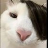 aaullii_aaaa