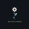 whiteflowers4u