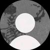 dam_srn