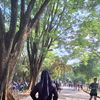 _sefia12
