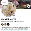 Kho vải trang trí