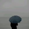 ayman_y18