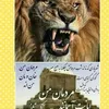 farhadbabakhani6