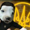 thereallsans