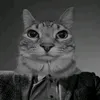 ronaldogg019