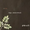 haydargil27