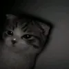m_fo_m