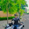 quanganh2001t