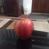 hamed.ali049