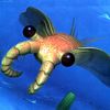 anomalocaris74