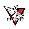 Surge To New Levels