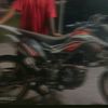 plankton_297