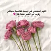 user1463546191971