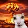 random.com353