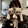 sweetchaemylisa