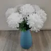 chloe80244