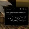 alishaabbasi129