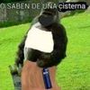 debaniescobargonzales