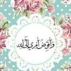 safaamansour04