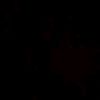 danixz_2010_