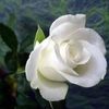 ko.khaing678