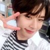 samii_skz_minho