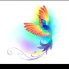 cefy_29