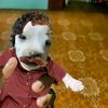 perrito_tave