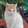 william_and_friends_2023