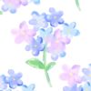 afiqaa162
