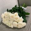fatima_hasanzada