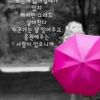 user4756783004802