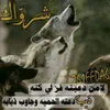 user4828399493700