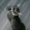 spedup_4_