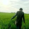 skssi