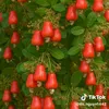 thaydoi7272