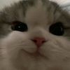 lee.wontae.com0522