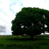 pablovillaba744