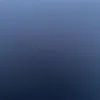 .baneen792