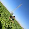naif.com1111