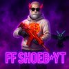 shoebakther2