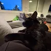 olivia_33322