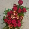 gerda2688