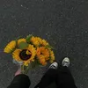 thanhtung_224