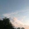 pemburubiasa_
